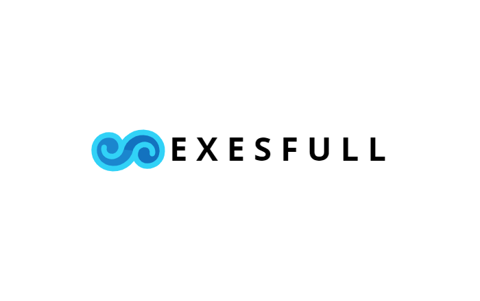 Эксесфулл официальное изображение логотип